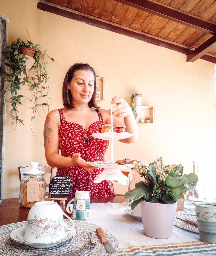 Bed and Breakfast Casale Dei Ricordi Arce Exterior foto
