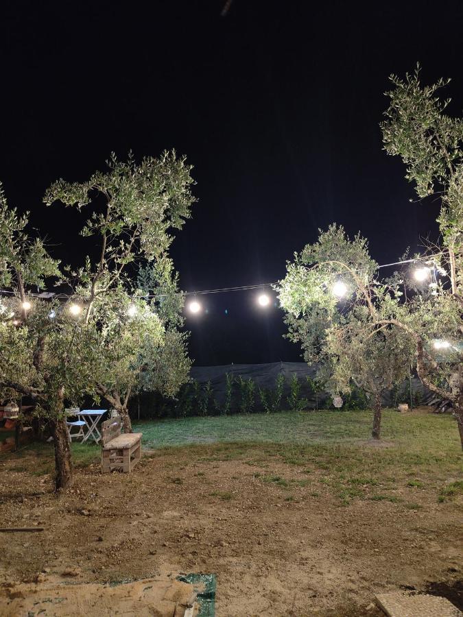 Bed and Breakfast Casale Dei Ricordi Arce Exterior foto